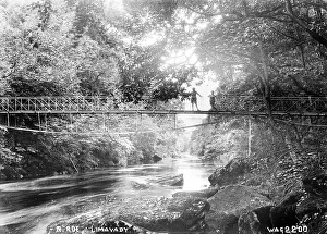 Suspension: R. Roe, Limavady