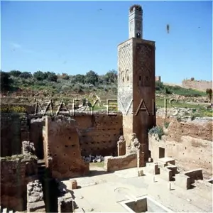Colonia: RABAT/CHELLAH SANCTUARY