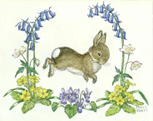 Windflowers: Rabbit with bluebells, primroses and violets