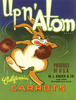 Vegtable: Rabbit Boxing