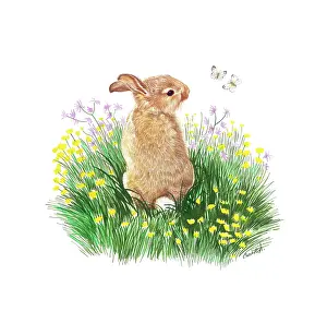 Pugh: Rabbit with Butterflies and wild flowers
