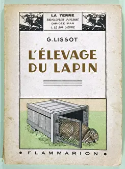 Hutch: RABBIT CARE HANDBOOK