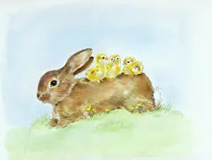 Matthes: Rabbit with three Chicks on its back