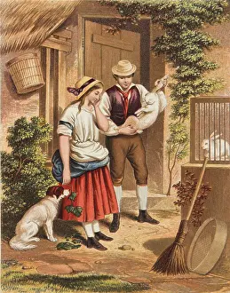 Rabbits: Rabbit for dinner