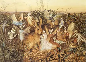 Puzzled: Rabbit and Fairies