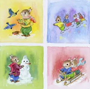 Toboggan: Rabbit feeding blue tits and robin in the snow