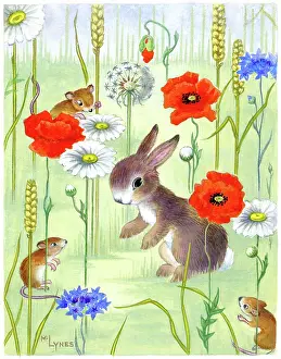 Cornflowers: Rabbit and field mice wit poppies and daisies