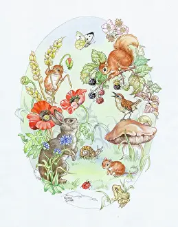 Cloke: Rabbit, harvest mouse, squirrel, etc