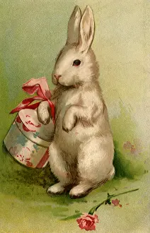 Hatbox: Rabbit with HatboX