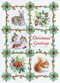 Rabbit, mice and red squirrel in the snow
