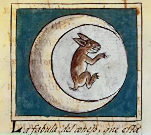 Laurentian: Rabbit in the moon, fairy