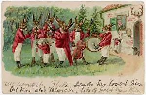 Serenade: Rabbit Musicians