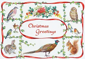Jasmine: Rabbit, pheasant, squirrel, tits, owl, robin etc
