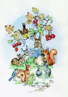 Cloke: Rabbit Reading To Other Animals