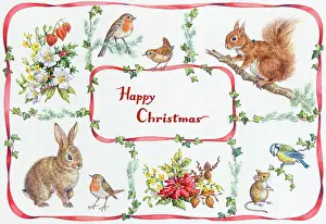 Jasmine: Rabbit, red squirrel, mouse, robins, wren etc