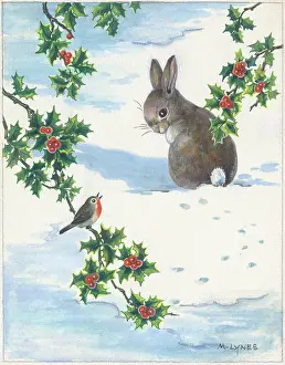 Lynes: Rabbit and robin in the snow
