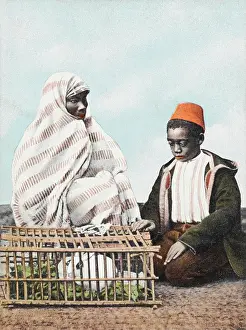 Hutch: Rabbit Seller - Constantinople