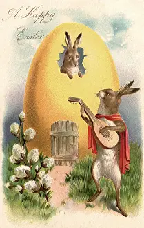Serenades: Rabbit serenades another Rabbit with Guitar