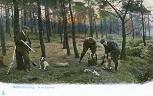 Bagged: Rabbit Shooting in the Spinney