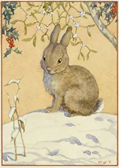 A rabbit in the snow. Christmas card