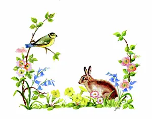 Ockenden: Rabbit among spring flowers