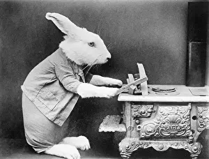 Barnaby: A Rabbit at the stove