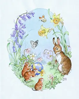 Cloke: Rabbit, Voles and Easter Egg