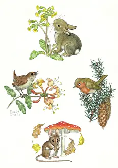 Spruce: Rabbit, wren, mouse, robin ' the four seasons