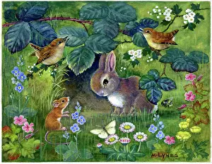 Wrens: Rabbit, wrens, , mouse, butterfly & wild flowers