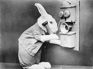 Fangled: RABBITING ON THE PHONE