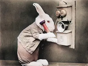 Oncolourisedpic: RABBITING ON THE PHONE