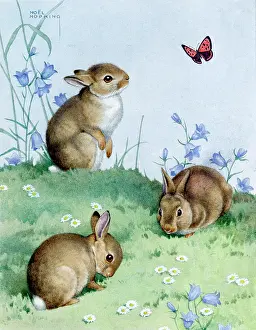 Harebells: Three rabbits