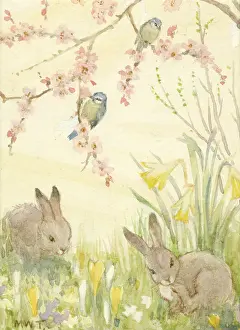Rabbits and Blue Tits with spring flowers