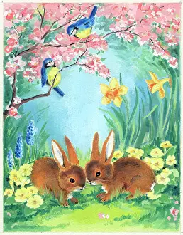 Bluetits: Rabbits and Blue Tits with spring flowers