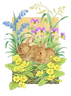 Primroses: Two Rabbits with bluebells, primroses and violas