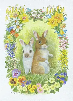 Babington: Two rabbits with border