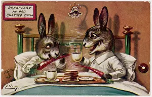 Lodging: RABBITS BREAKFAST IN BED