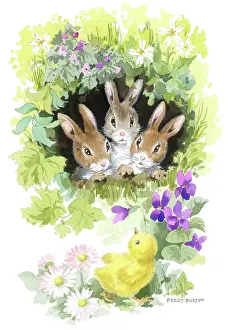 Burrow: Three rabbits with chick and violets