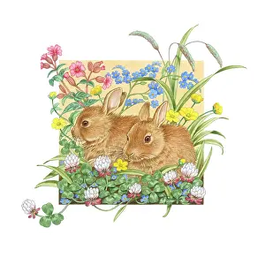 Buttercups: Two Rabbits with clover, forget-me-nots etc