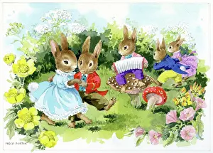 Concertina: Rabbits dancing to concertina