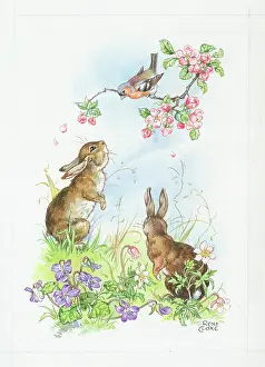 Cloke: Two Rabbits with flowers and chaffinch