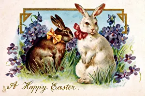 Bunny: Rabbits and flowers on an Easter card
