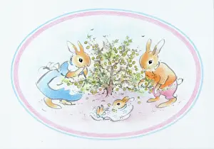 Gooseberry: Rabbits under gooseberry bush