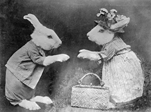 Squabble: RABBITS AND HANDBAG