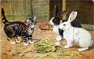 Placidly: RABBITS & KITTEN 1923