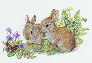 Tortoiseshell: Two rabbits looking ata butterfly on violets