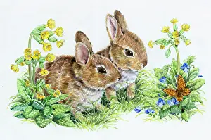 Cowslips: Two rabbits looking at a butterfly on veronica