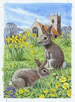 Beesley: Two rabbits in meadow with flowers
