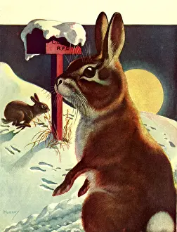 Moonlit: Rabbits in Moonlight
