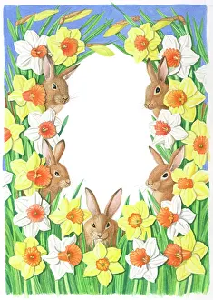 Bunnies: Rabbits amongst narcissi and daffodils